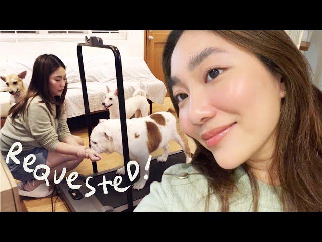 Natural & soft everyday look + a day with my dogs (as requested!)  | Raiza Contawi