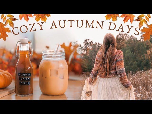 Cozy Autumn Days ️ Comforting Fall Recipes, Autumn Movie Night & Crochet  A Cozy Autumn Vlog