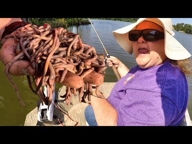 Fishing With Worms & Bobbers For Bluegill!