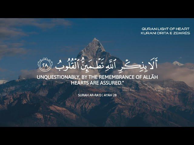 أرح سمعك وقلبك بالقرآن🫀 | تلاوة هادئة بصوت القارئ محمد اللحيدان وعبدالرحمن مسعد Beautiful Quran ️