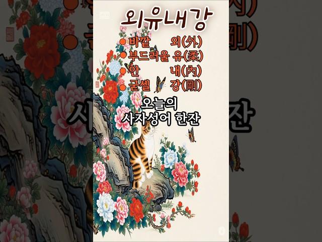 겉보기와 다른 사람-13.외유내강 #사자성어 #지혜 #명언