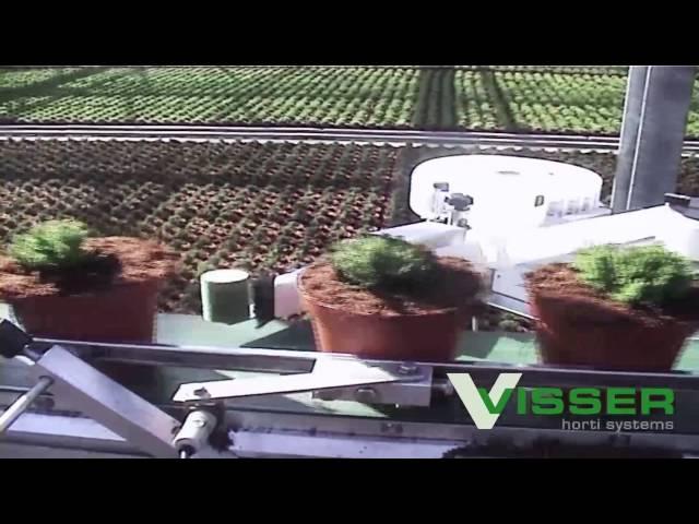 Visser Horti Systems - PC-11-4 grijpers + Mayer 2400D + bufferband - Woestmans