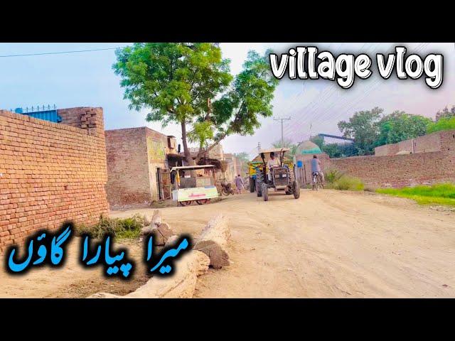 My daily routin village life vlog