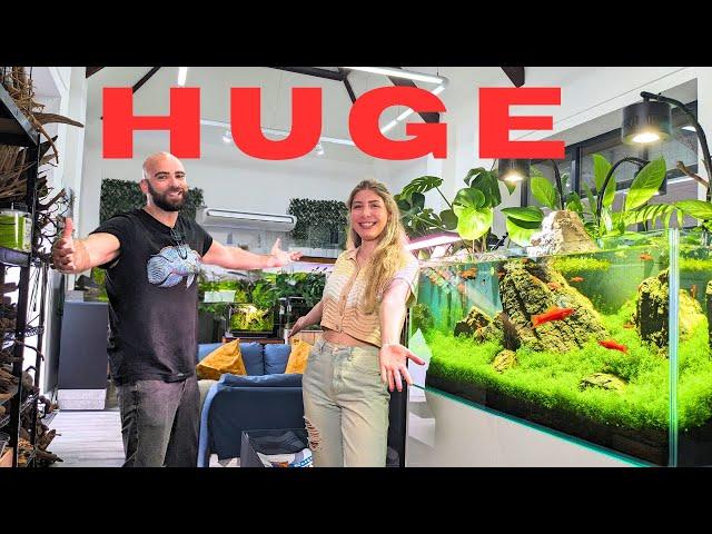 Planted Aquarium Studio - MD Fish Tanks (FULL TOUR)