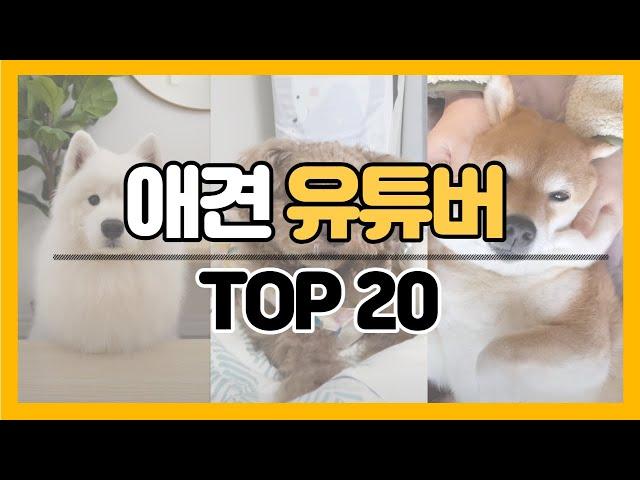 강아지 유튜버 구독자 순위 TOP 20