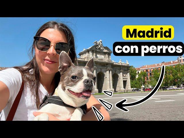 Madrid con perros es fantástica!! 24hs con Emma (4K)