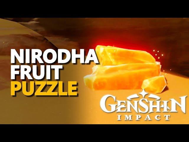 Nirodha Fruit puzzle Genshin Impact