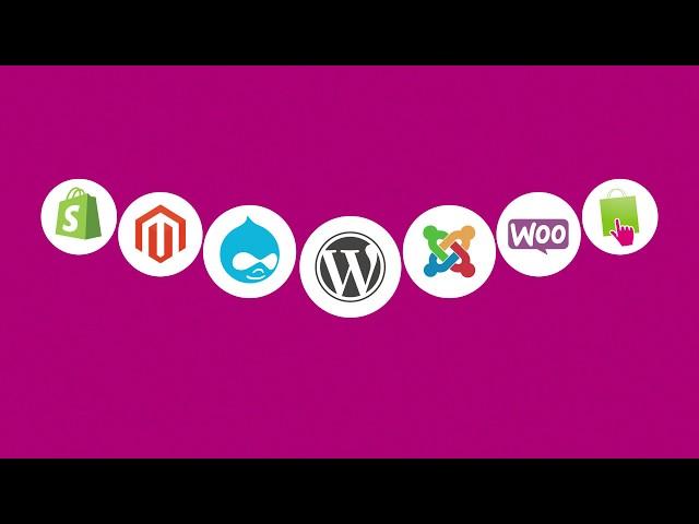 Hosting - What is hosting? RP Designs