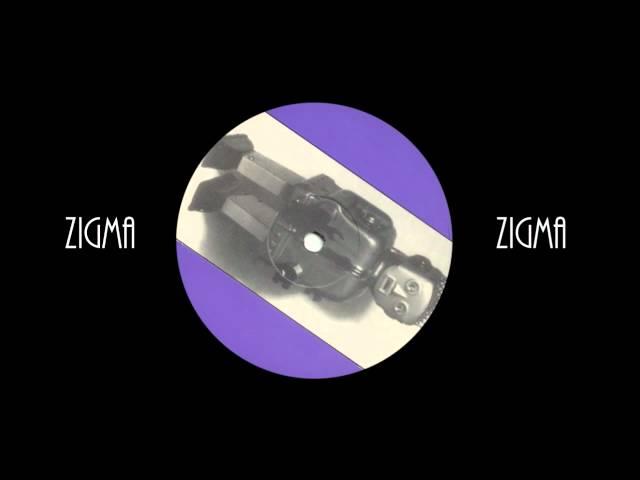 Zigma  "Androids Do It With Hydraulic "