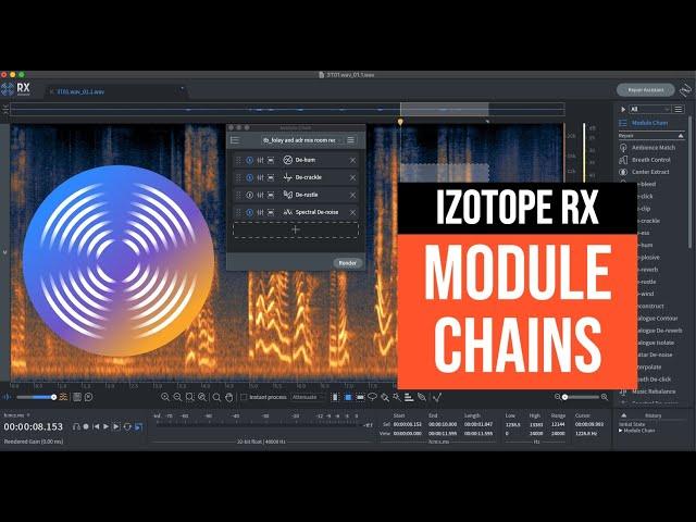 iZotope RX Advanced Dialogue Cleanup Tutorial - Module Chains