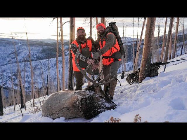 Hunting Late Season OTC BULL ELK in the SNOW | 4K HUSH VLOG