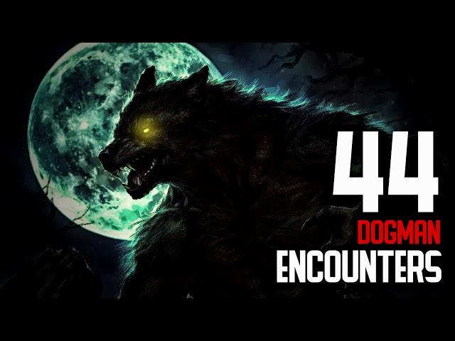 44 DOGMAN ENCOUNTERS COMPILATION (3 HOURS OF DOGMAN ENCOUNTERS) - What Lurks Beneath