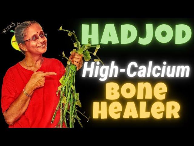 Hadjod/Pirandai:  Best of Calcium rich foods for Bones in India