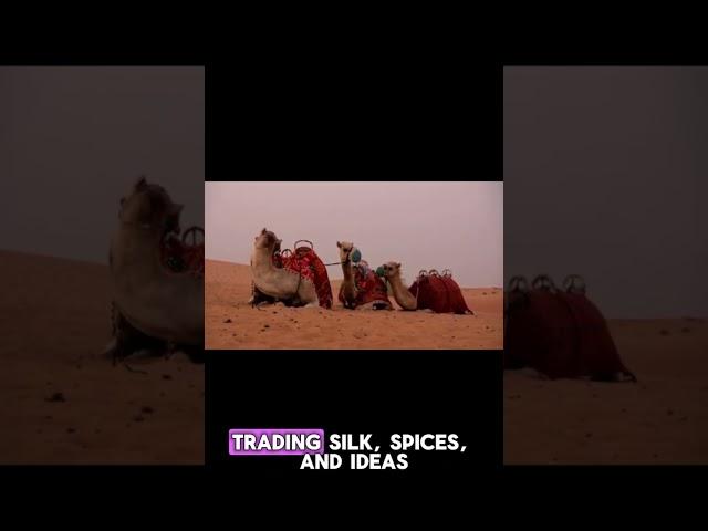 The Economic Genius of the Mongol Empire #viralvideo #history #money #therichest