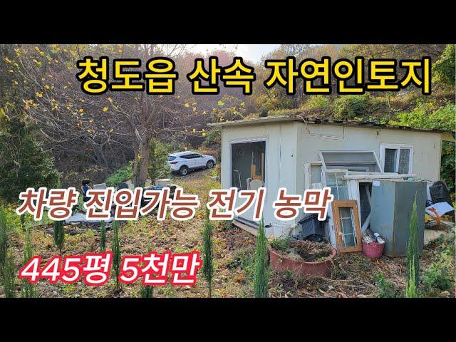 청도읍 산속 농지매매 월곡리 청정지역 나는 자연인 1470㎡445PY 5천만 [No.40816]