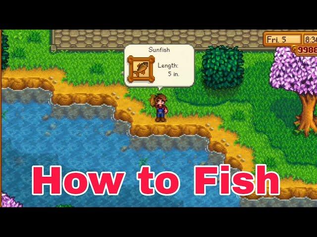 How to fish in Sratdew Valley