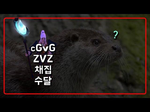 크리스탈 리그 , ZVZ만 하고 끈 기분인데? | 알비온 Live