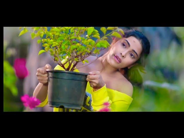 Tum Kya Mile Jaane Jaan whatsapp status | Saatwan Aasman | New Romantic Status Video | Cool Aayush