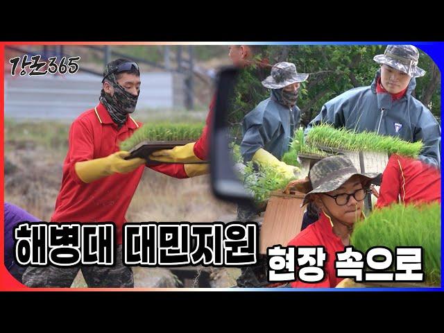 해병대 대민지원 현장 속으로 [강군365 184회] l 국방홍보원