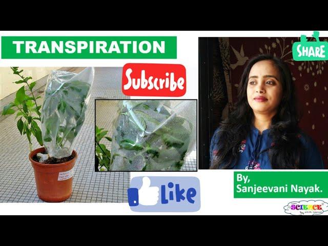 Transpiration #Stomatal transpiration #Lenticular transpiration #cuticular transpiration