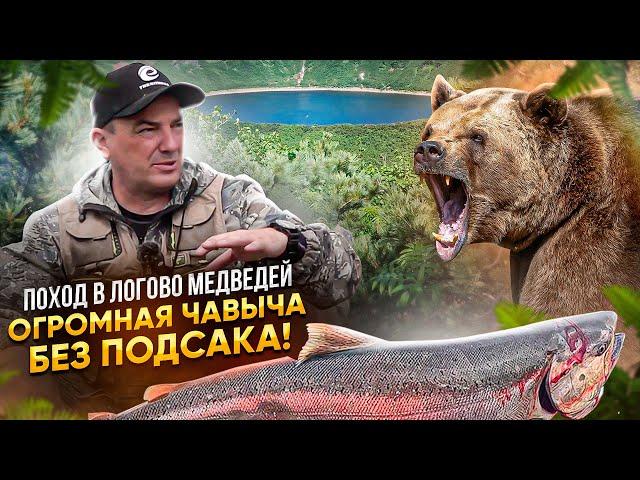 В ЛОГОВО МЕДВЕДЕЙ! КОРОЛЬ ЛОСОСЕЙ- ЧАВЫЧА более 10 кг, без подсака! Такая рыбалка только на КАМЧАТКЕ