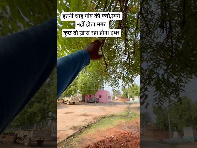 Indian village #ytshort #trending #love #song #motivation