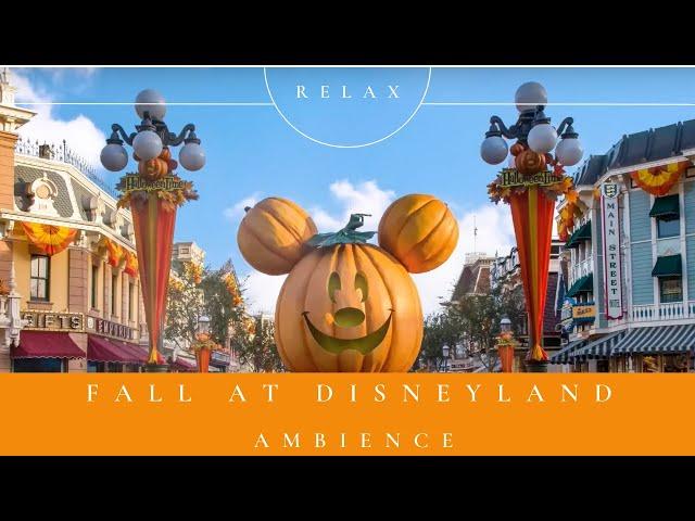 Fall At Disneyland Ambience 