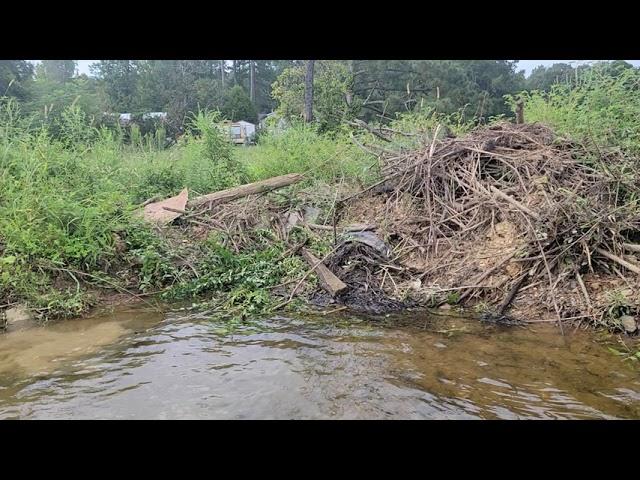 19 hrs later part 1 #beavers #beaverdam #cloggeddrain #beaverdamadge