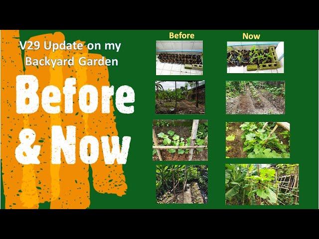 V30 Successful Propagation of Madre de Agua, Napier Grass and more …