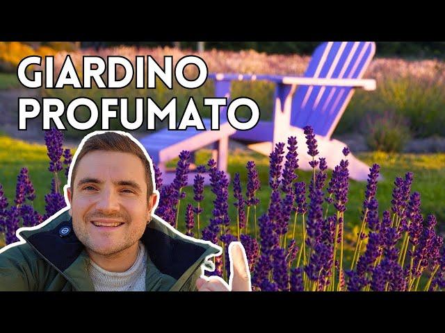HOW TO DESIGN A SCENT GARDEN