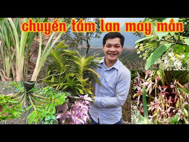 Những hành trình tìm lan may mắn nhất của tôi, đi tìm lan rừng tập 21 | phong lan rừng pv