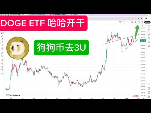 DOGE（Dogecoin） 第二波爆发倒计时！ 精准预测狗狗币回踩至 0.35，上车机会，不要等到 0.26、0.22、马斯克的 DOGE 部门、 ETF 全是利好，第二波目标价预测为 2-3 美金