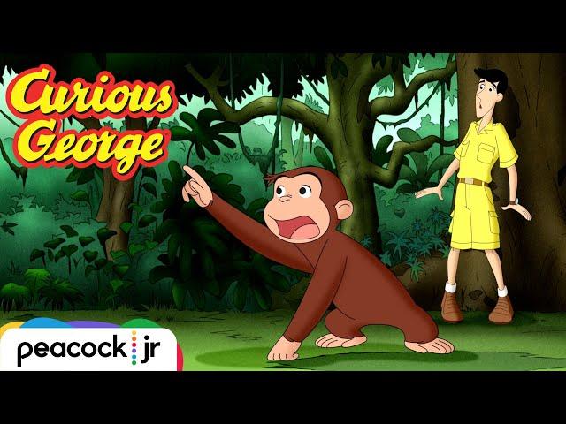 Catch That Monkey! | CURIOUS GEORGE