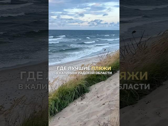 Мой тгк: guideva #калининград #калининградскаяобласть #путешествия