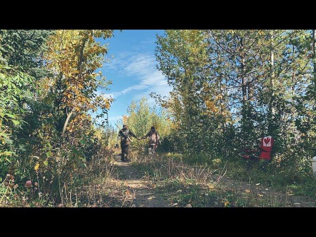 MOOSE HUNTING in NORTHERN BC| Episode 2 | THE SABOZ JOURNAL