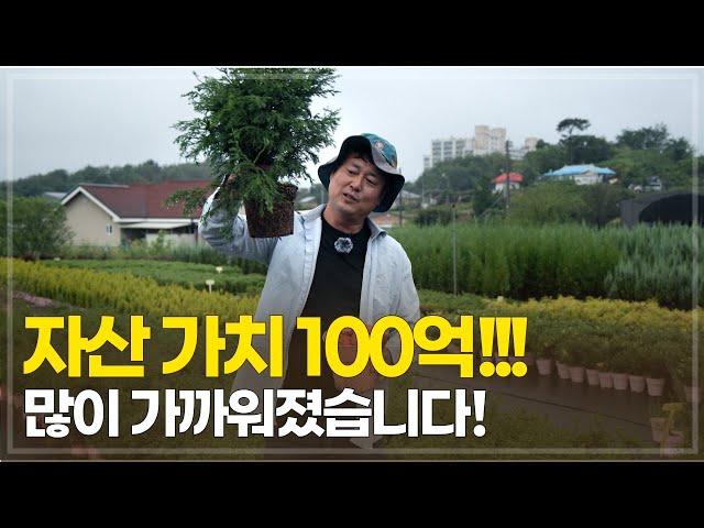 묘목으로 100억 만들기! 코로나로 시작된 포트재배, 그 놀라운 결과!