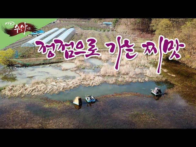 [다시 보기] FTV 수초 사이로 - 정점으로 가는 찌맛