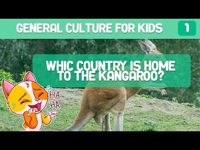 GENERAL KNOWLEDGE QUIZ FOR KIDS 8 YEAR OLD IN ENGLISH | EASY GENERAL KNOWLEDGE QUIZ | WIKIFUN TEST