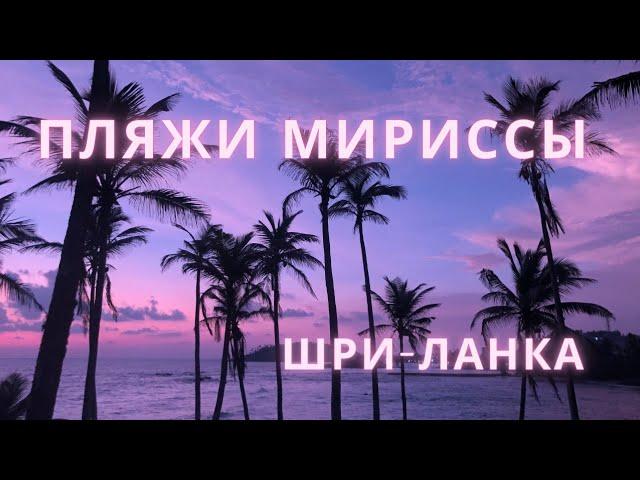 Обзор пляжей в Мириссе. Шри-Ланка