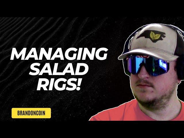 How I Remote Manage my SALAD rigs