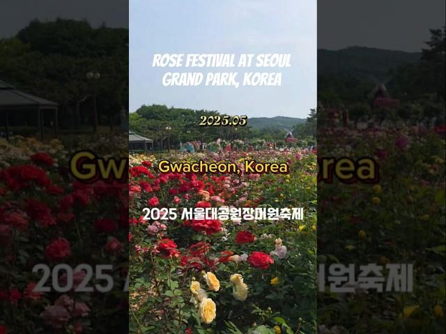 2025 서울대공원 장미원축제