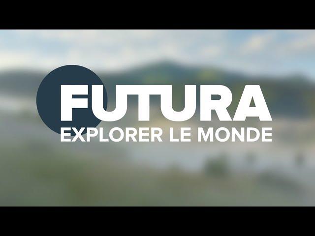 Explorer le monde avec Futura Sciences | Santé | Tech | Maison | Planète