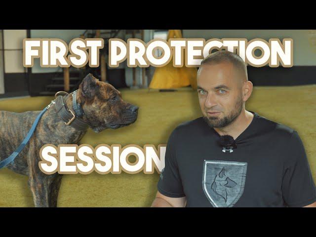 Presa Canario Protection Assessment