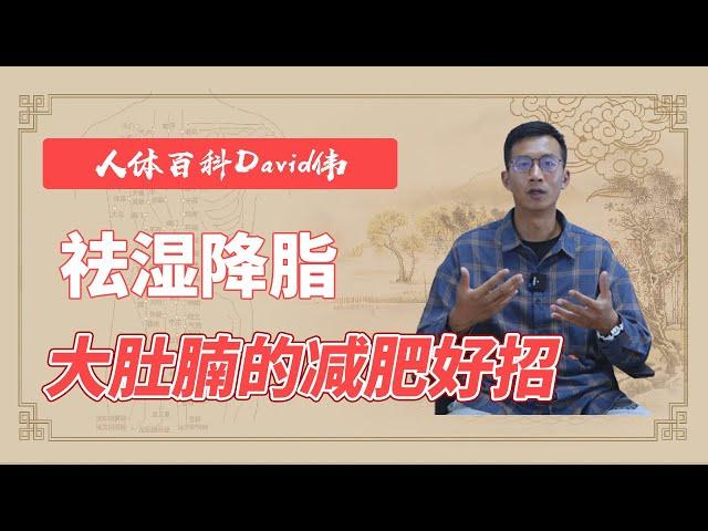 大肚腩的減肥好招！疏通肚子上的三條經絡，祛濕降脂【人體百科David偉】