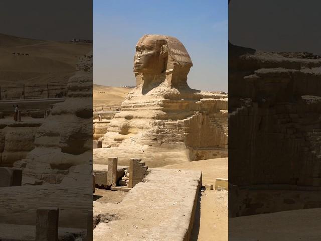 Secret of Great Sphinx of Giza #youtubeshorts #sphinx ￼