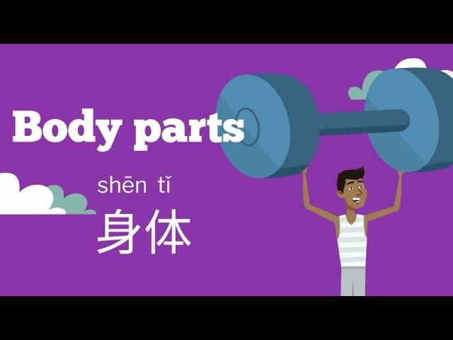 Body parts-1 | 身体-1 | Learn Chinese #body @身体