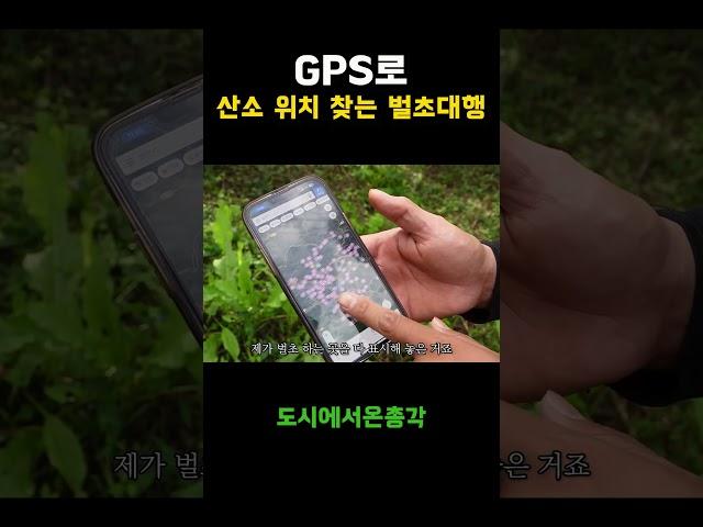 벌초대행 산소 위치 찾는 방법