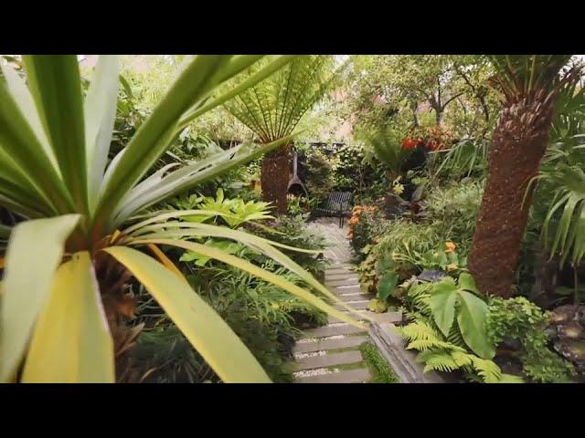 3 Amazing Small Tropical Backyards in the UK