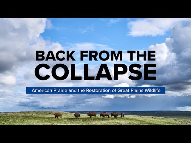 Curt Freese: Back from the Collapse