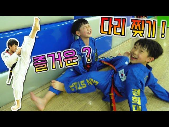 태권도 즐거운 ? 다리찢기 훈련 ! 국기원 준비 중인 버섯도리 품새 겨루기 발차기 연습 ! 태권도 잘하는법 없나 ? 고된 수련만이 정답 ! 꿀잼 어린이 영상 taekwondo